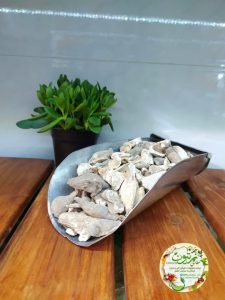 ee42c632-b6cf-4312-8724-a624fab784ba