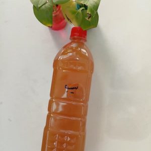 سرکه سیب خانگی