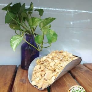 سیر و پودر سیر