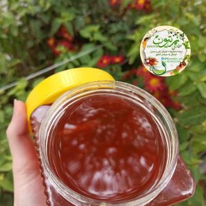 عسل چندگیاه جنگلی