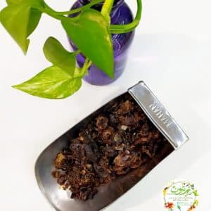 پر لیمو سیاه اعلا