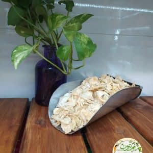 پیاز و پودر پیاز