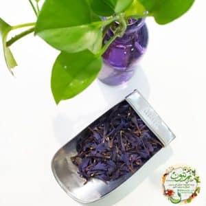 گل گاو زبان